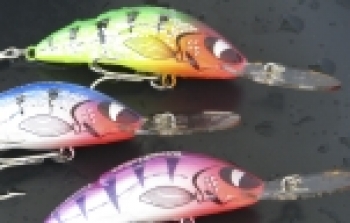 Fischers Fritze - Angelfachgeschäft