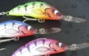 Angelfachgeschäft Fischers Fritze