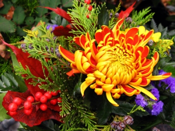 Flower Power- Blumen - Blumengeschäft - Berlin