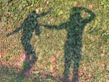 Psychotherapie Therapie