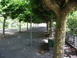 Mierendorffplatz Berlin - Charlottenburg