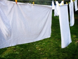 Textil-Reinigung - Weiße Wäsche